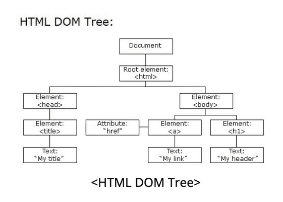 DOM Tree